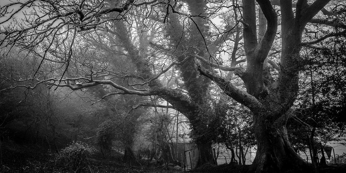 Diverse team of software developers collaborating in a modern Canadian tech office