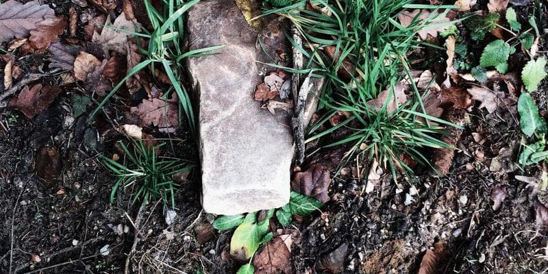 Tenant speaking with legal aid lawyer about landlord harassment complaint