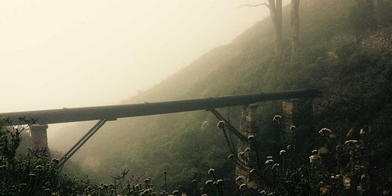 Person carefully reading the fine print of a contract before signing