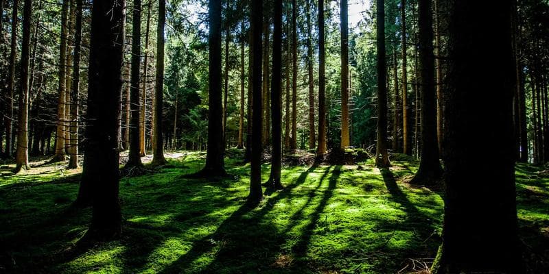 Person reviewing their financial documents and credit report to verify a debt