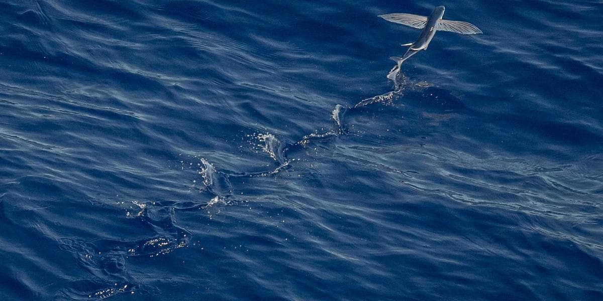 Canadian family courthouse exterior representing the family law and court system
