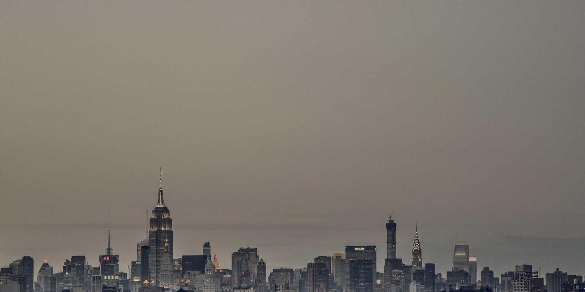 Newcomer entrepreneur reviewing grant application documents at a community business centre