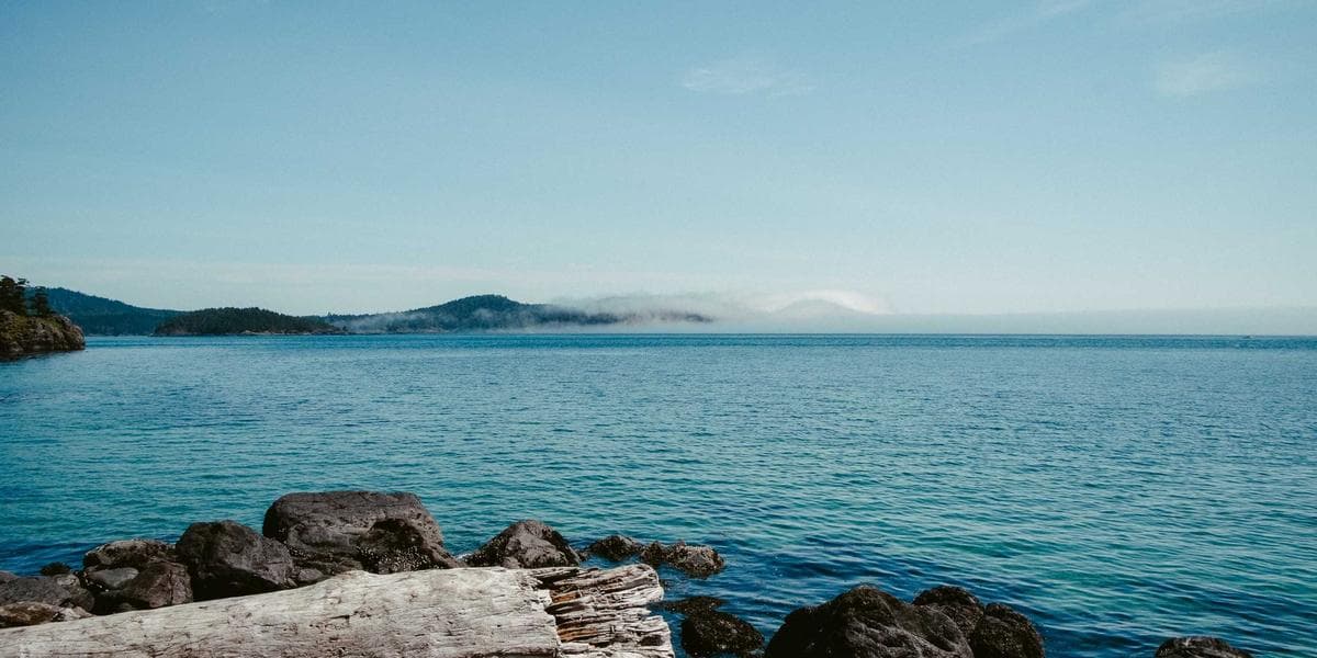 Colorful food truck serving customers at a busy Canadian outdoor market