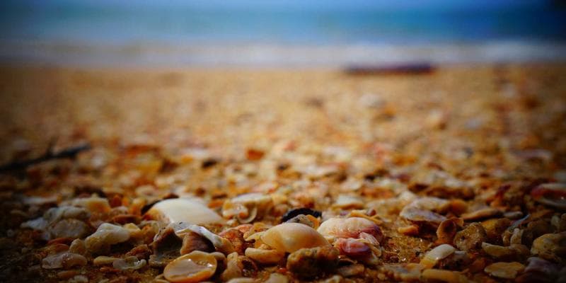 Map of Canada with major city markers showing affordable housing offices