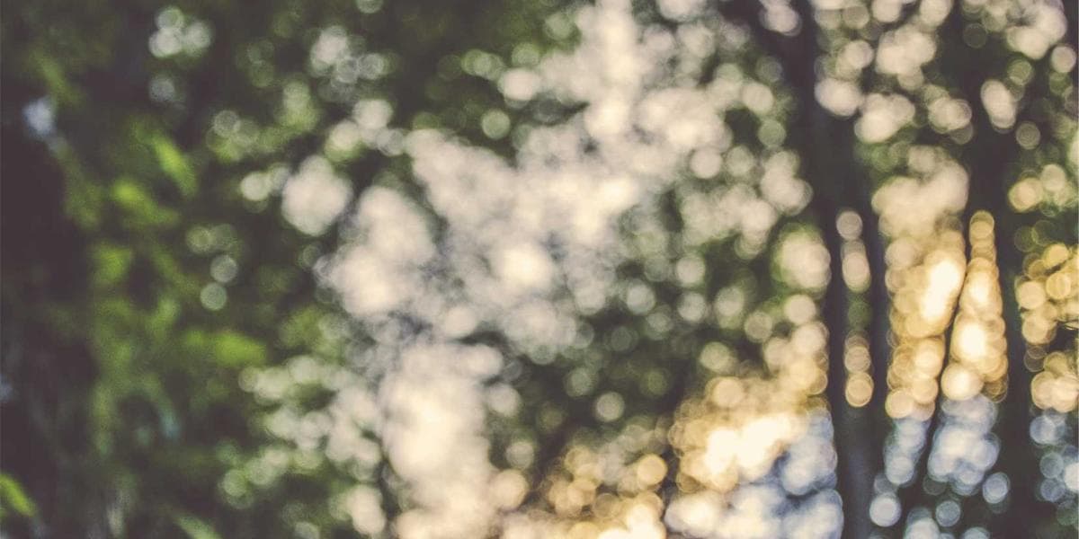 Religious Accommodation at Work in Canada: Your Rights and How to Ask illustration