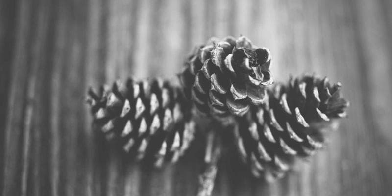 Medicine Hat sunny prairie landscape with parks and recreation trails