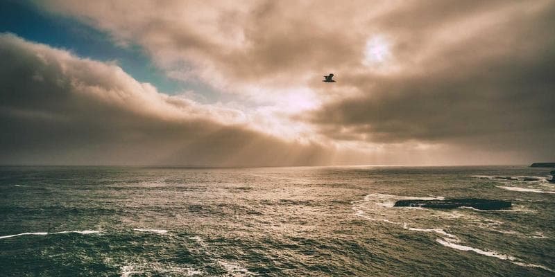 Canadian flag and passport representing the citizenship application process