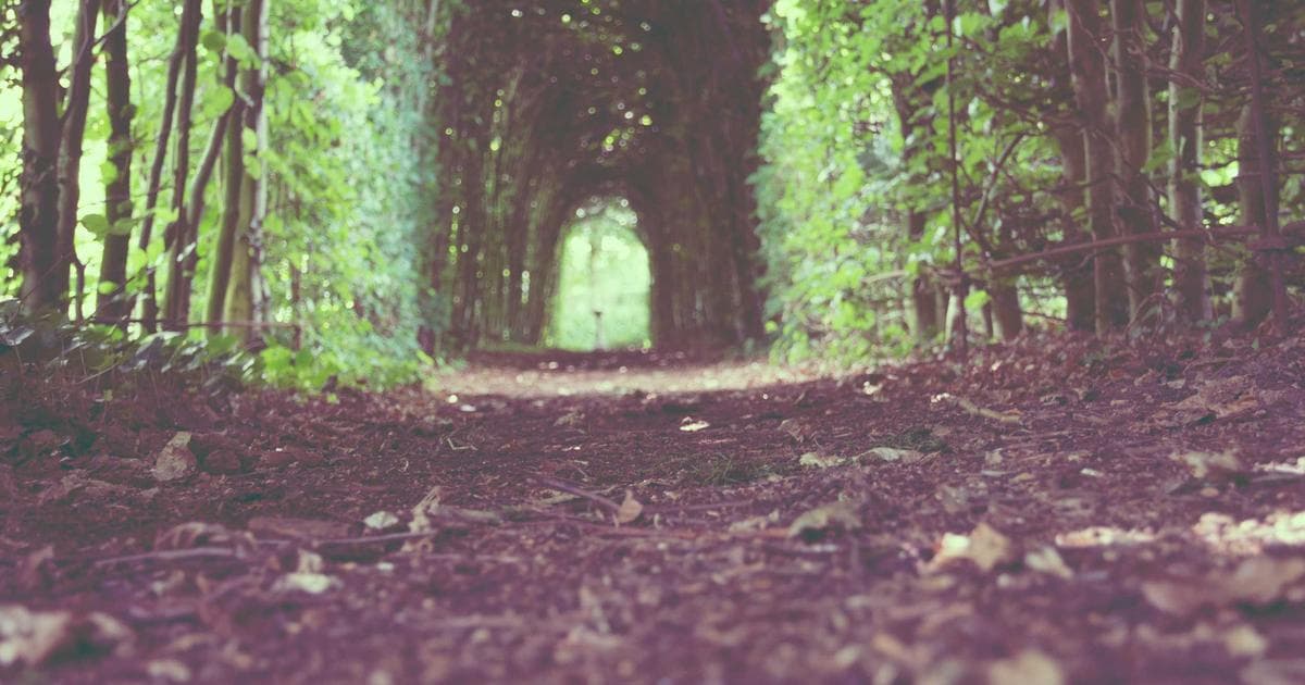 Newcomer visiting a family doctor in a Canadian healthcare clinic