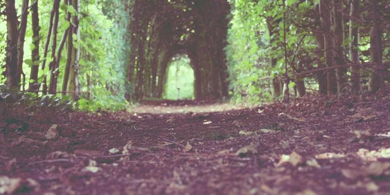 Regina Saskatchewan city centre representing urban life and settlement opportunities for newcomers