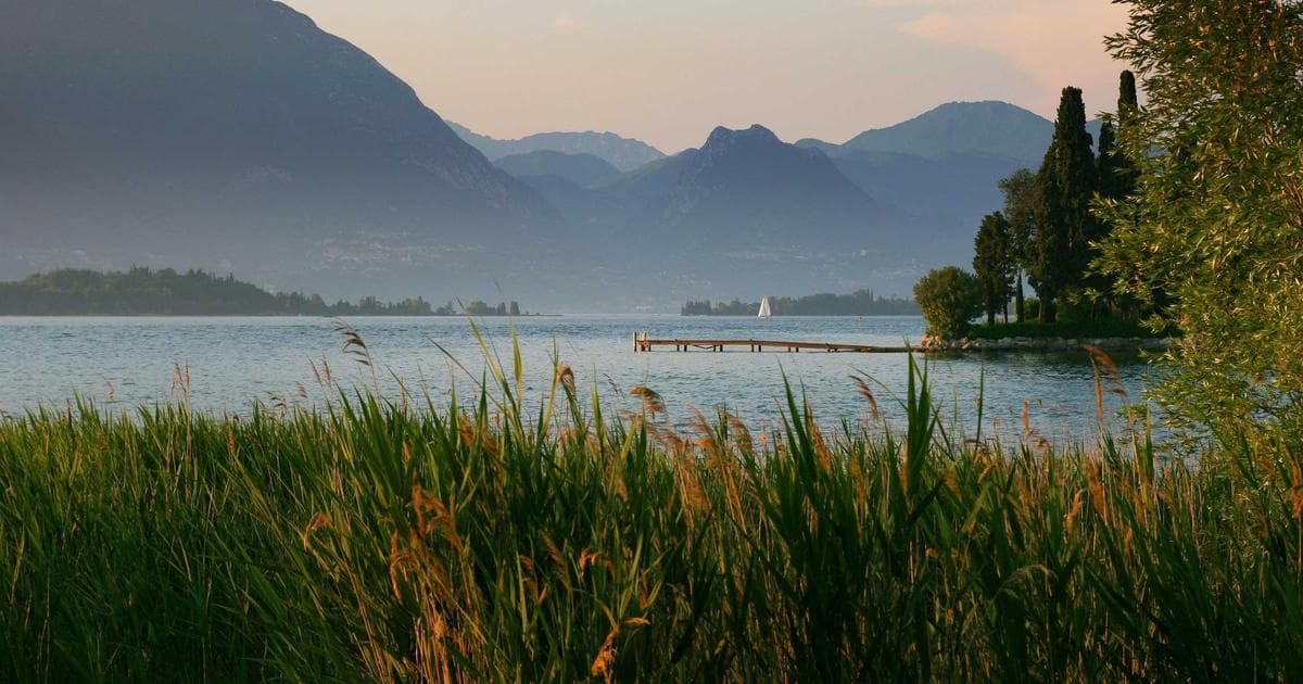 A newcomer family with children applying for the Canada Child Benefit CCB