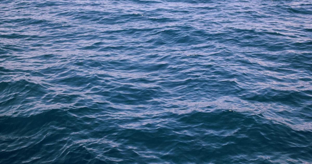 How to get a Canadian credit card as a newcomer and build credit