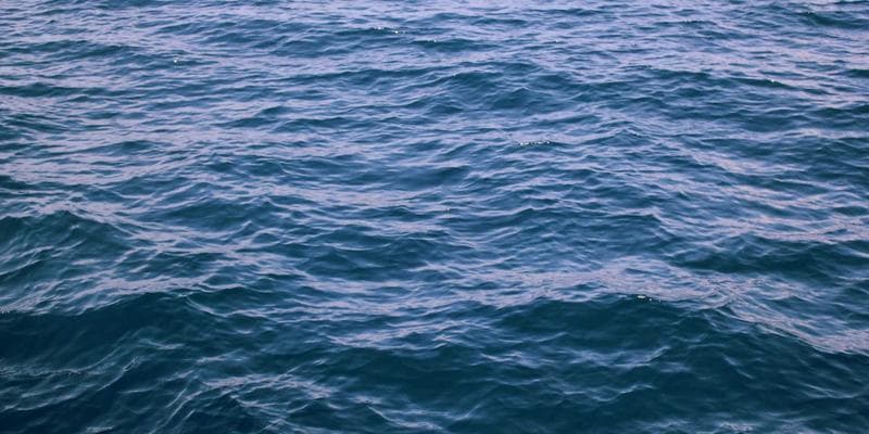 St. John's Newfoundland colourful row houses representing the vibrant community welcoming immigrants