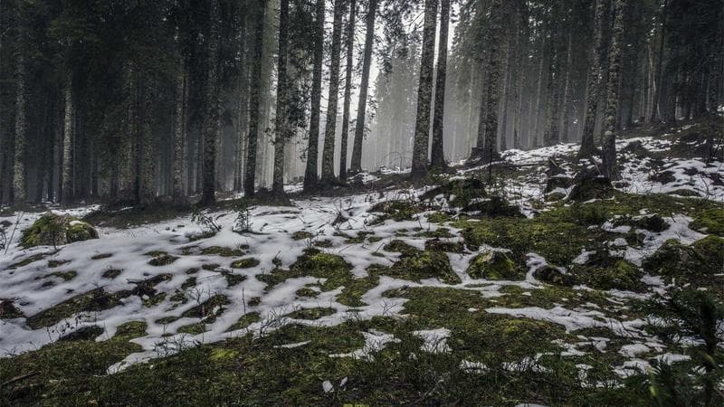 Yukon Territory landscape representing immigration opportunities for skilled workers