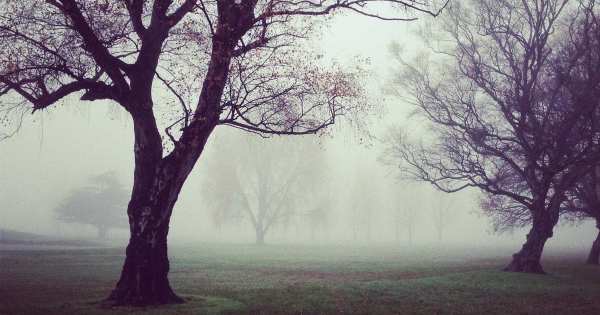 Family reuniting in Canada after parent sponsorship through the PGP program