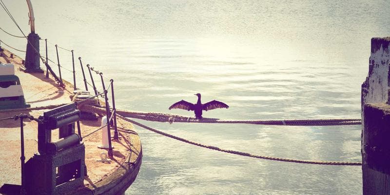 Language testing center for IELTS and TEF preparation for Express Entry