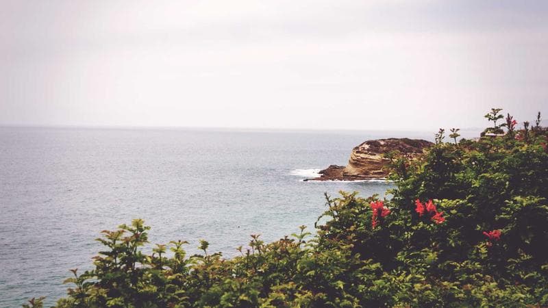 Guide to LMIA process for Canadian employers hiring skilled foreign workers