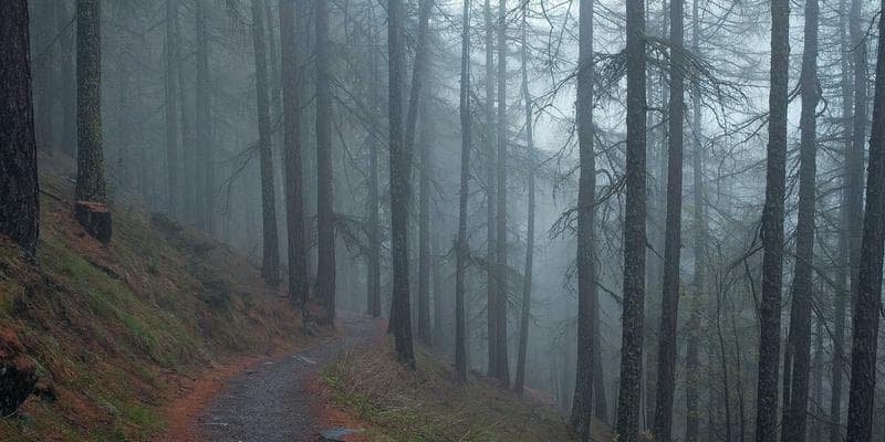 Engineer reviewing construction blueprints at a Canadian infrastructure project site