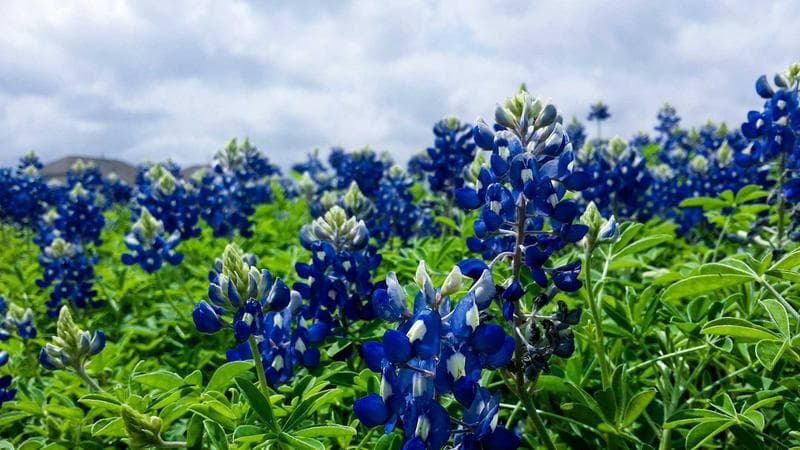 How to Apply for OHIP in Ontario 2026: Eligibility and 3-Month Wait