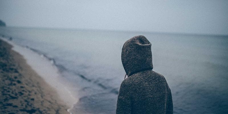 Beautifully plated dish showcasing Canadian culinary artistry and local ingredients