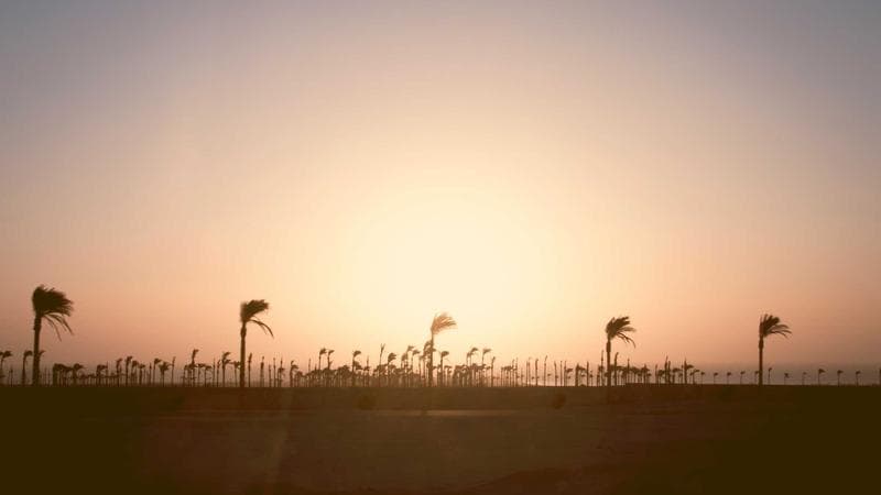 How to Read Your T4 Tax Slip in Canada 2026: Box-by-Box Explanation