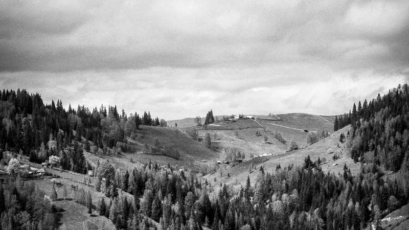 How to Find a Dentist in Canada (Including Low-Cost Options for Newcomers)