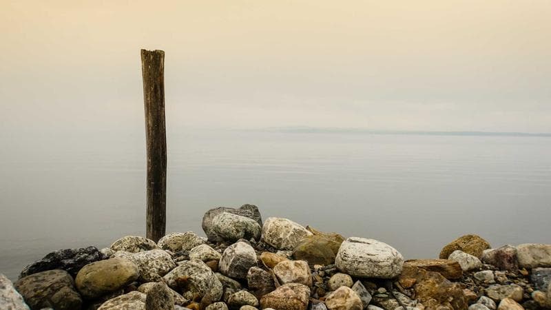 Can International Students Work in Canada? Hours, Rules, and SIN Guide