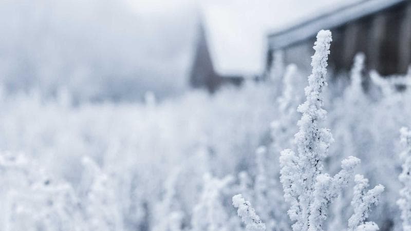 Moving to a New Province in Canada: Complete Checklist for Newcomers