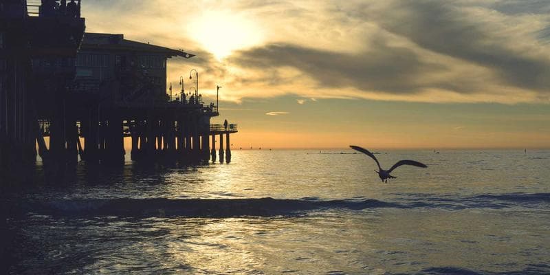 Toronto TTC streetcar on a busy downtown street with diverse pedestrians and shops