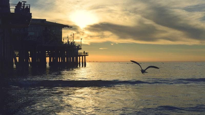 Refugee Claimants in Canada: Rights, Process, and What to Expect