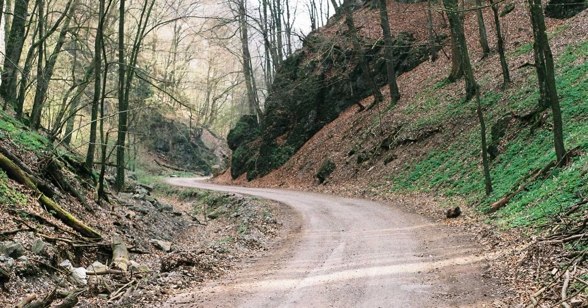 Settling in Canada's capital? Learn about housing, government jobs, bilingualism, and settlement services in Ottawa.