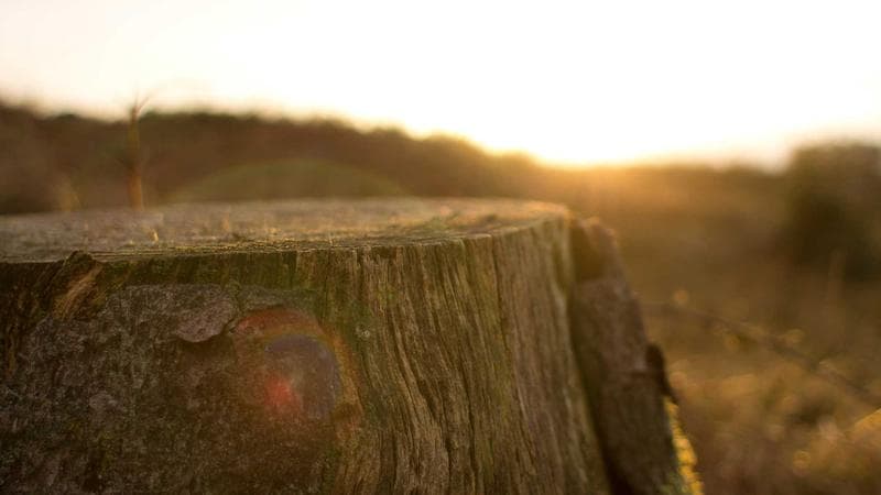 Canadian financial planning workspace with RRSP and TFSA documents and investment portfolio on laptop screen