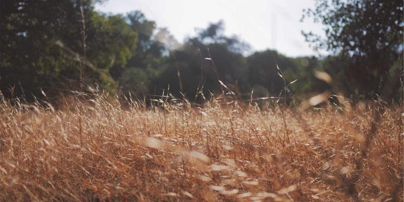 Investment growth comparison chart showing RRSP and TFSA strategies for different income levels