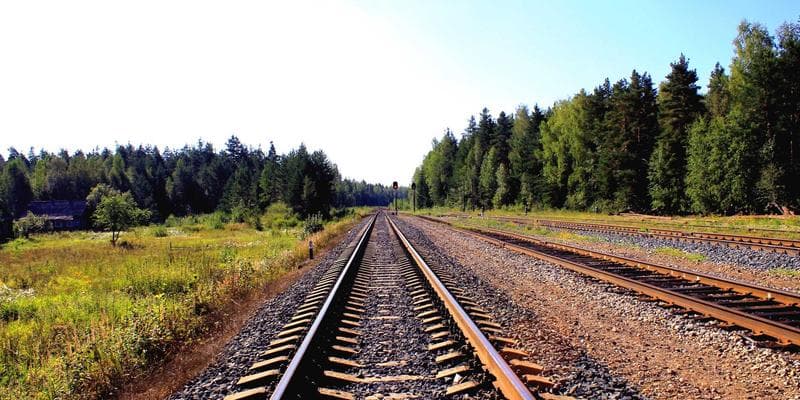 Nursing professional studying for NCLEX