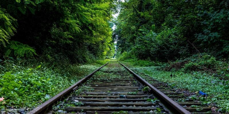 Investment growth chart showing TFSA and RRSP performance over time