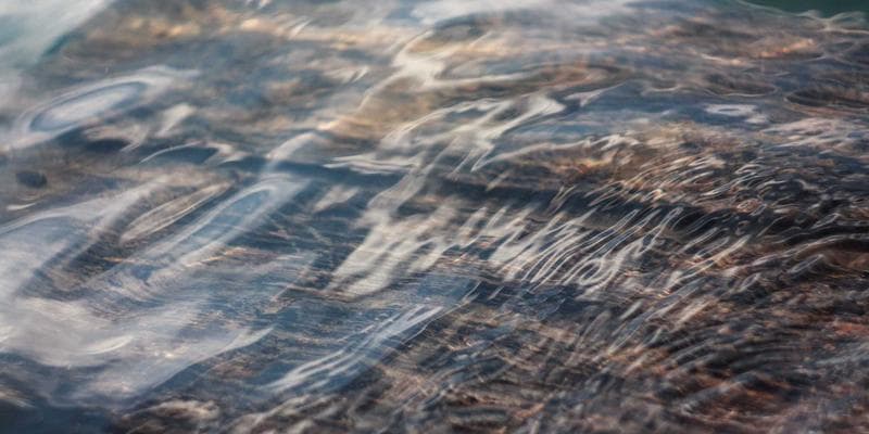 Person reviewing Express Entry CRS dashboard