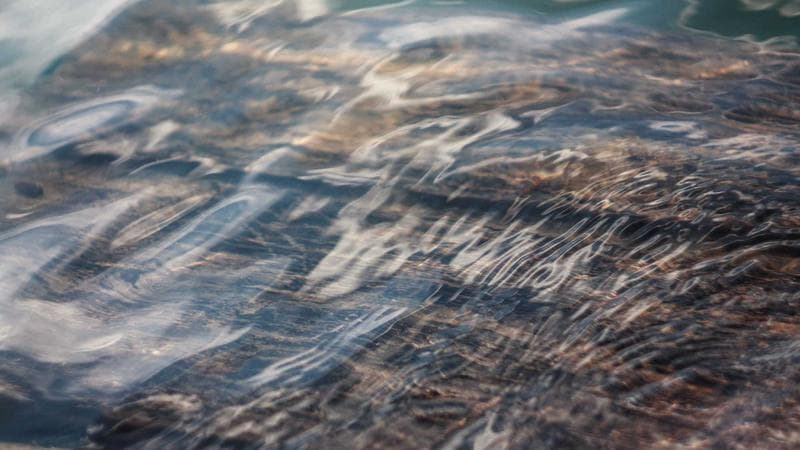 Group of internationally trained professionals participating in a bridging program workshop