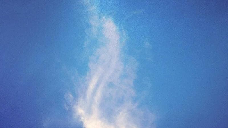 Person planning their move to Canada using pre-arrival settlement services on a computer