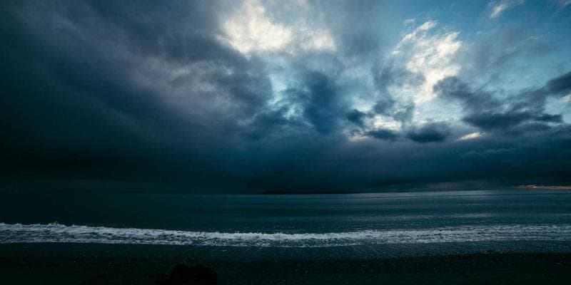 Newcomers enjoying a multicultural community event in a Canadian city park