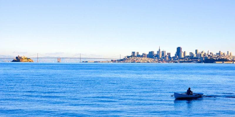 Professional working in Canada representing CEC immigration