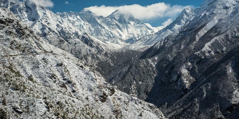 Union members marching together during a solidarity demonstration