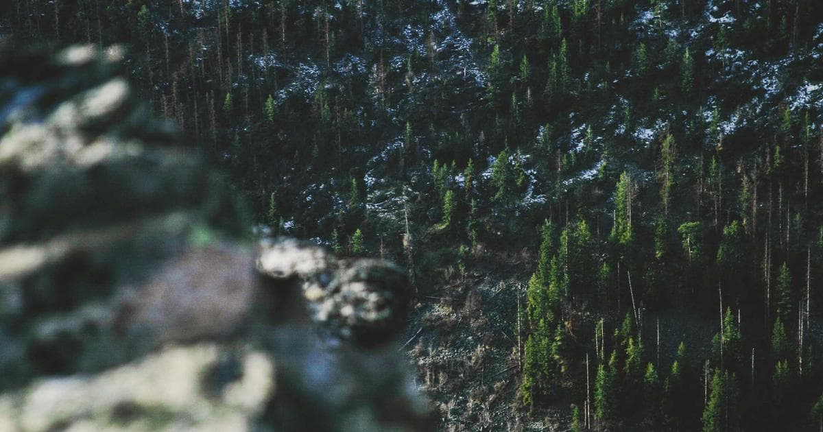 A step-by-step guide for newcomers filing their first Canadian tax return — what forms to use, what credits to claim, and free tax filing resources.