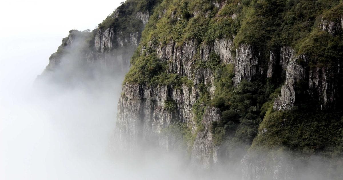 Understand Employment Insurance (EI) eligibility, how to apply, benefit amounts, and what happens when you lose your job