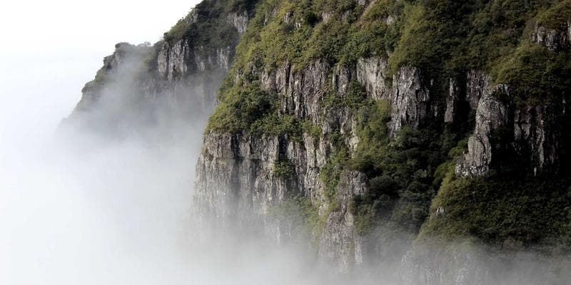 Group of co-op students collaborating on a project at a Canadian university