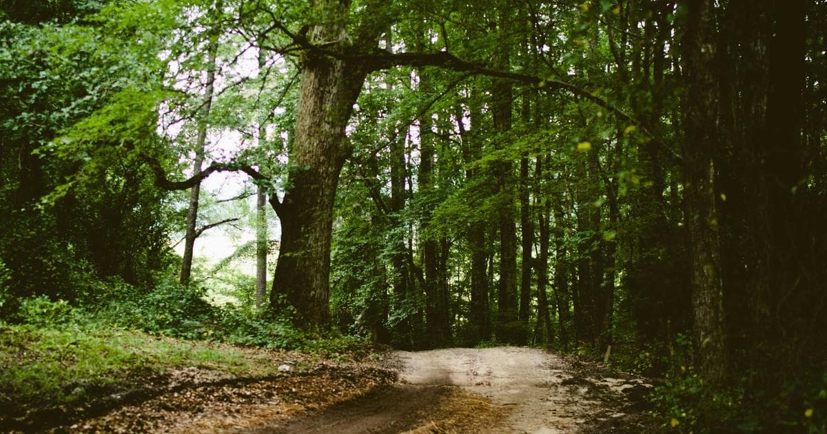 Learn what a Social Insurance Number is, who needs one, how to apply at Service Canada, and how to protect your SIN from