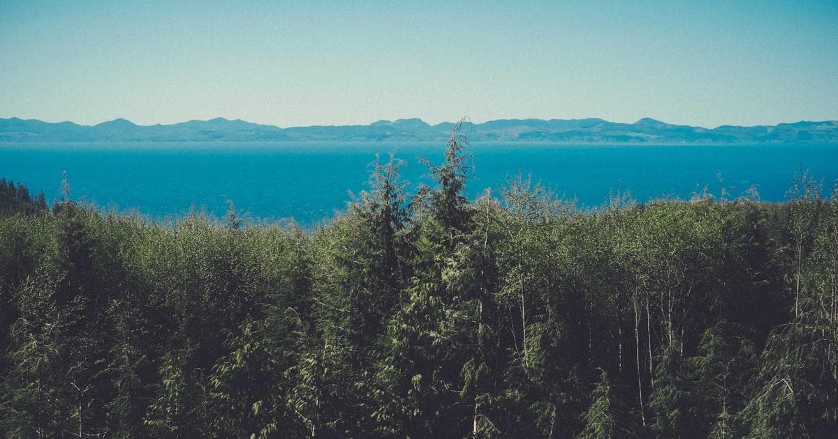 Learn the difference between RCICs and immigration lawyers, how to verify credentials, red flags for immigration fraud, 