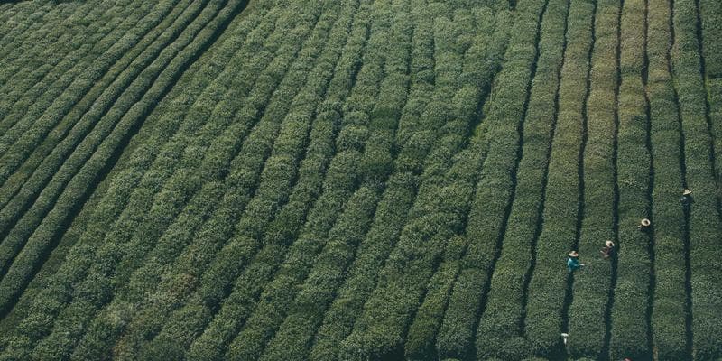 Alberta immigration pathways