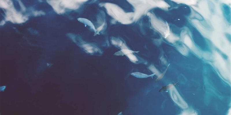 Super Visa alternative for parents in Canada