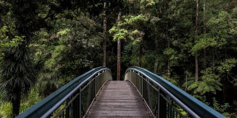 Regulated professions credential recognition Canada