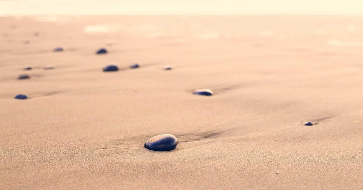 Person looking at a phishing email on a laptop, with a warning sign, symbolizing scams targeting newcomers.