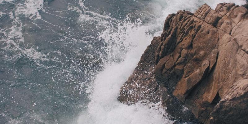 Grocery stores in Canada savings for newcomers